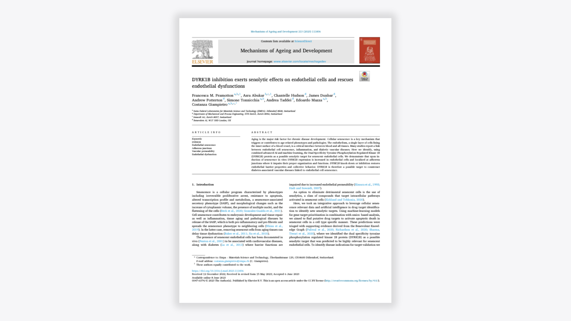 DYRK1B_inhibition_exerts_senolytic_effects_on_endothelial_cells_and_rescues_endothelial_dysfunctions_1920x1080.jpg