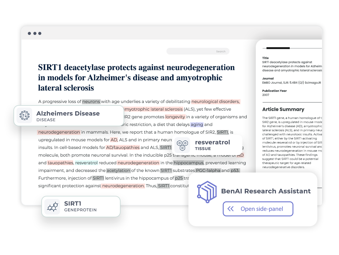 BenAI Research assitant-.png