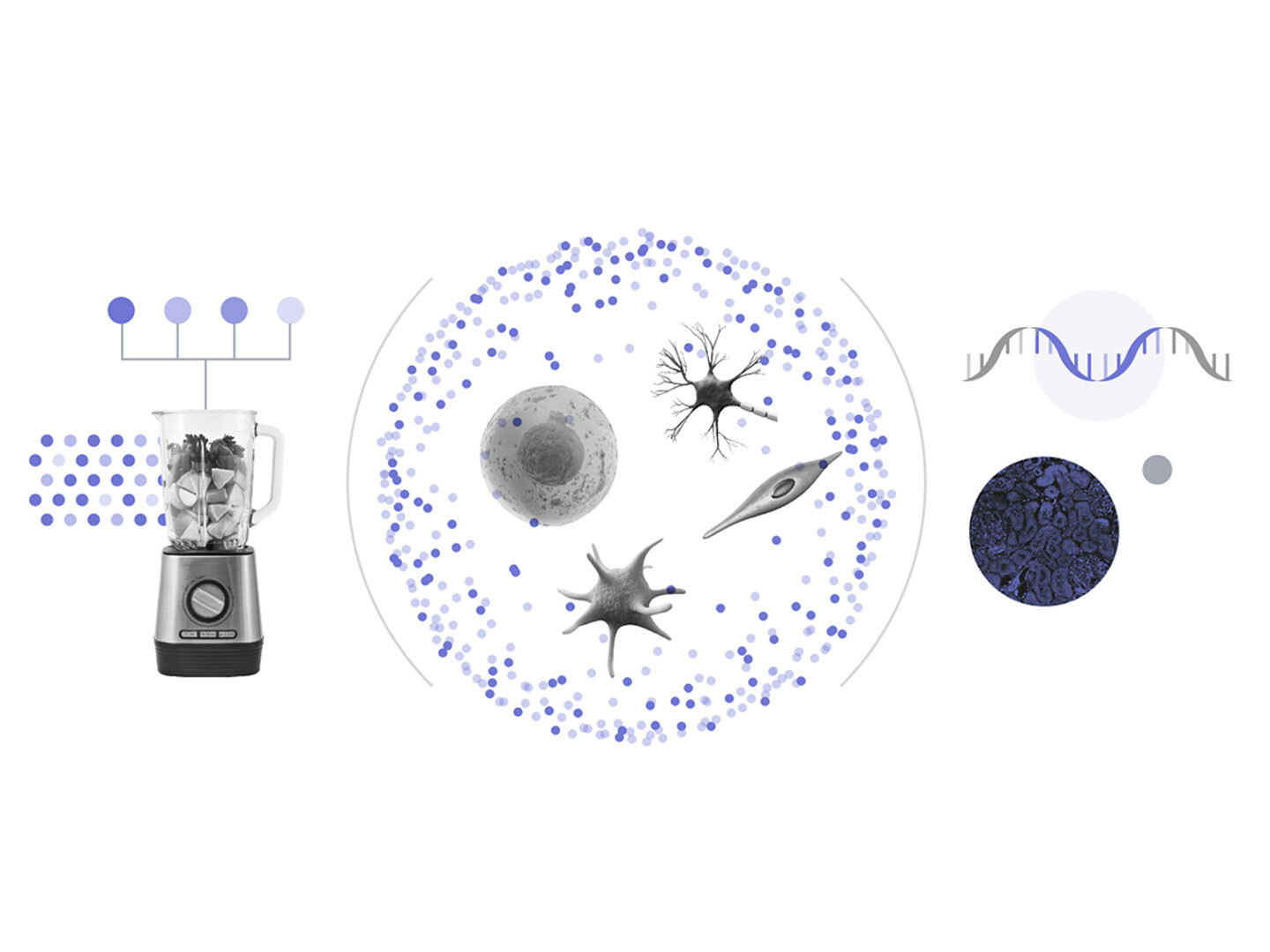 Leveraging-Single-Cell-Data-In-Our-Drug-Discovery-Platform.jpg