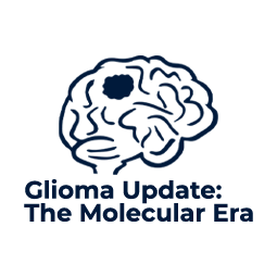 Glioma_Update.png