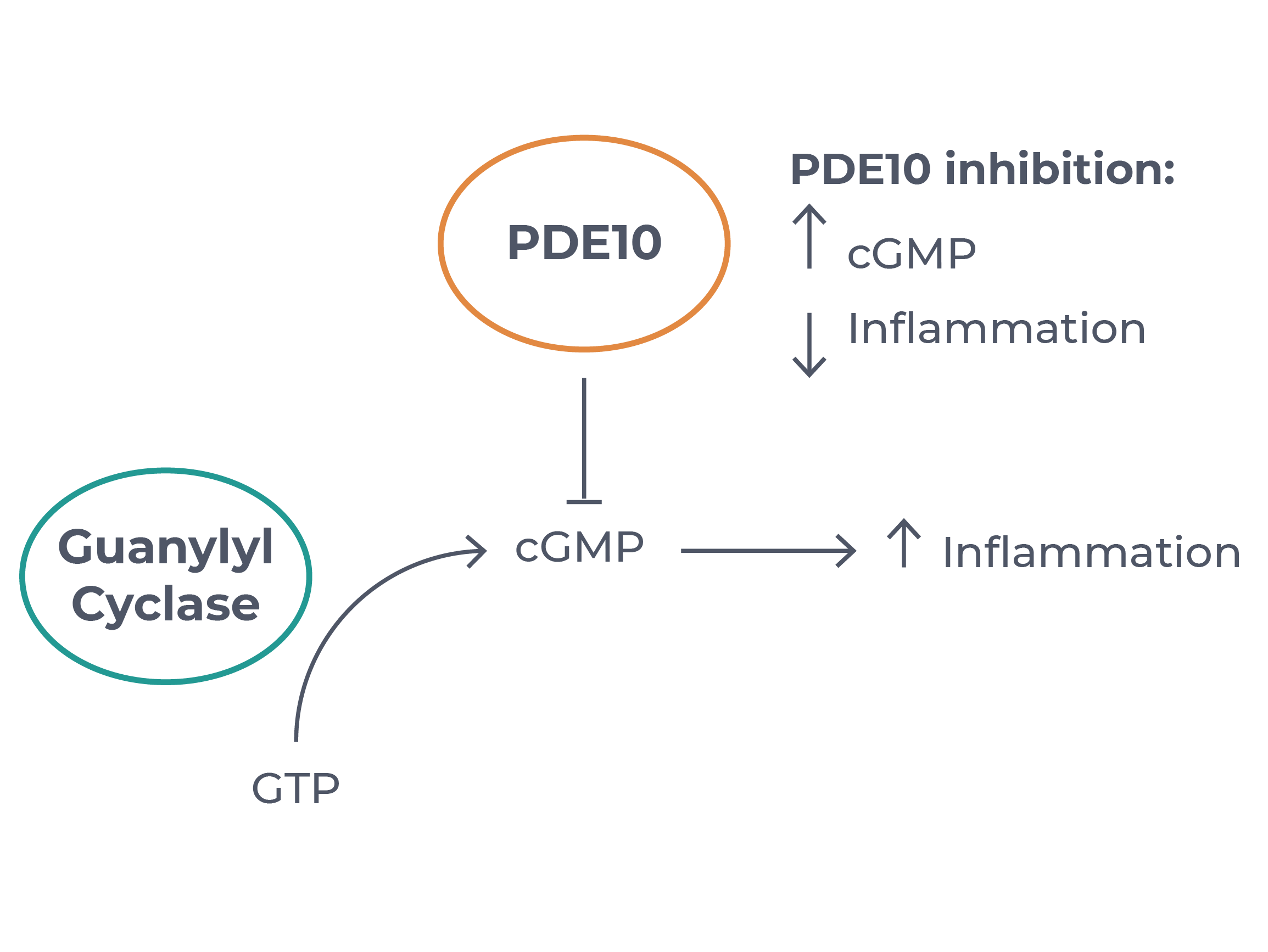 BEN-8744 Diagrams_2.png